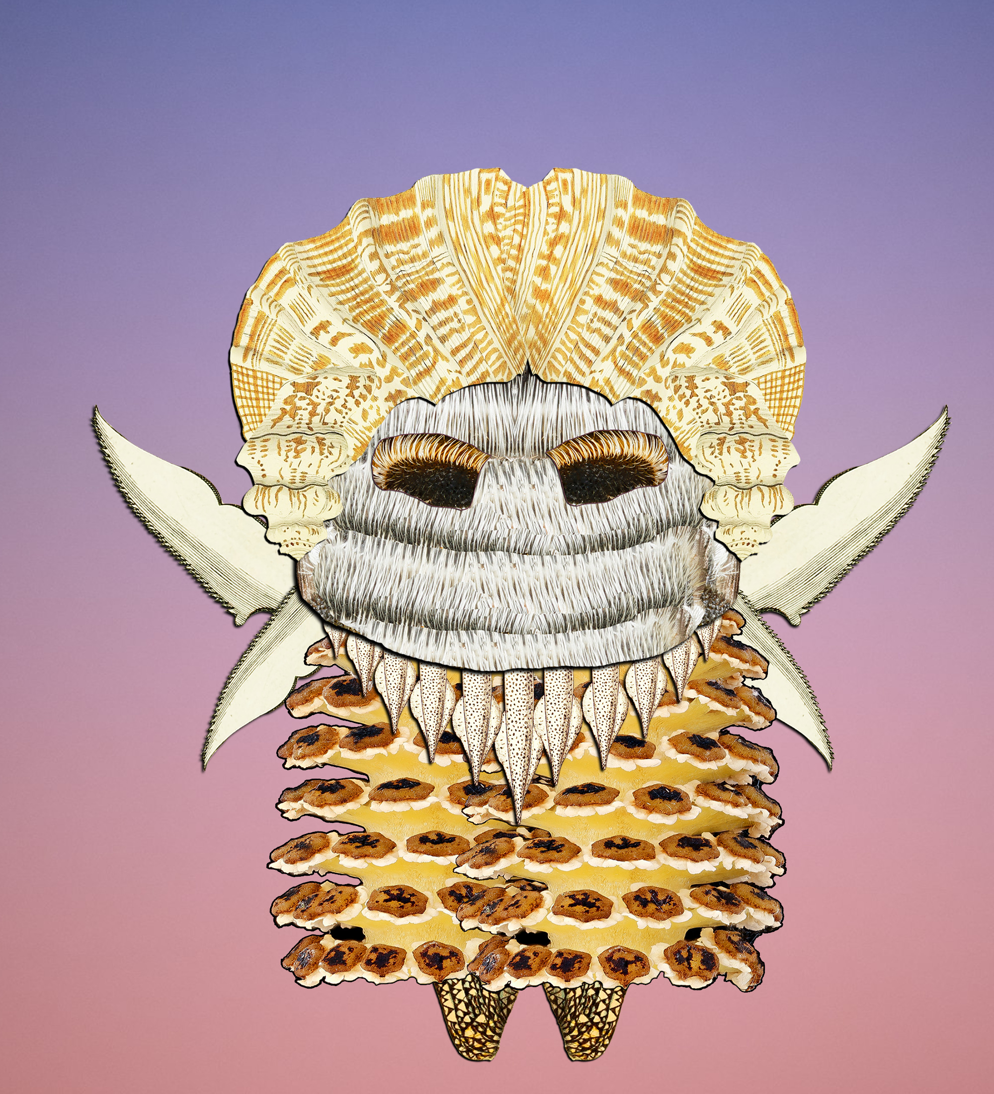 Hopium Warriors #055 NFT on Algorand