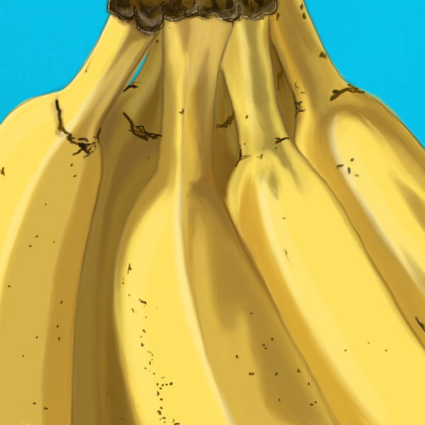 An image of Banana Bunch