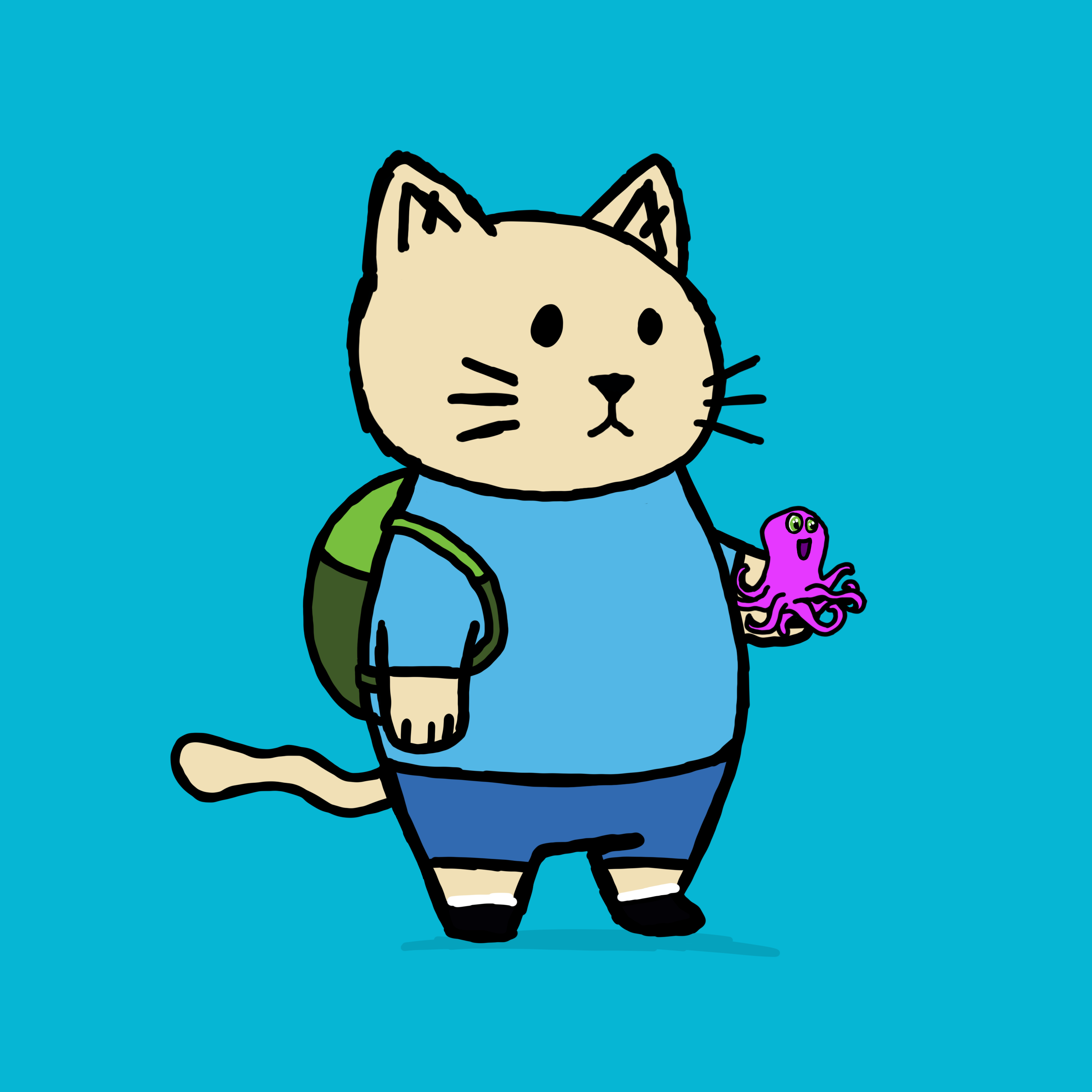 SK4L #434 NFT on Algorand