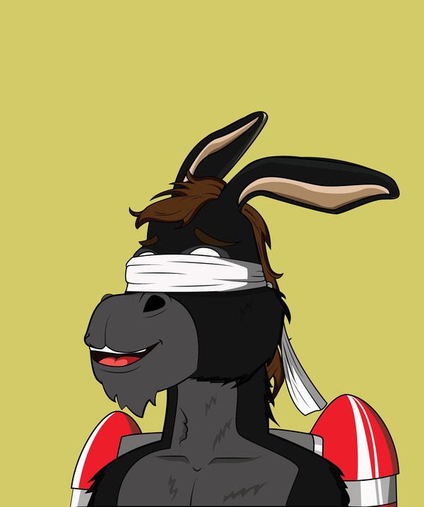 An image of Donkey 37