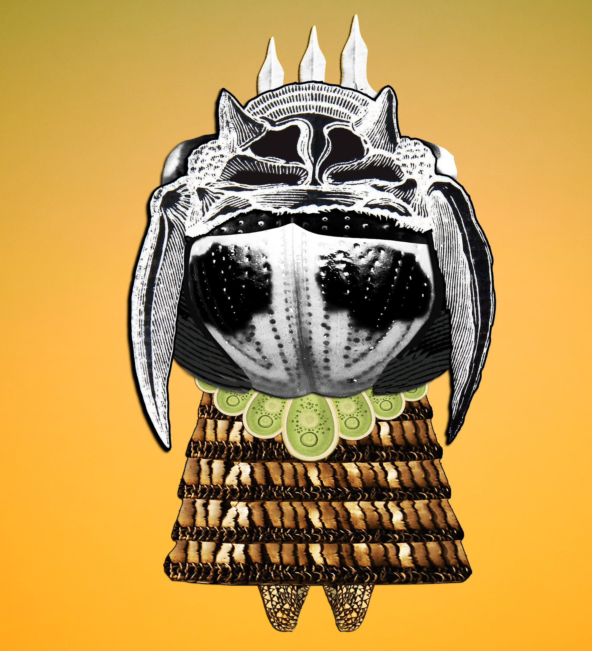 Hopium Warriors #115 NFT on Algorand