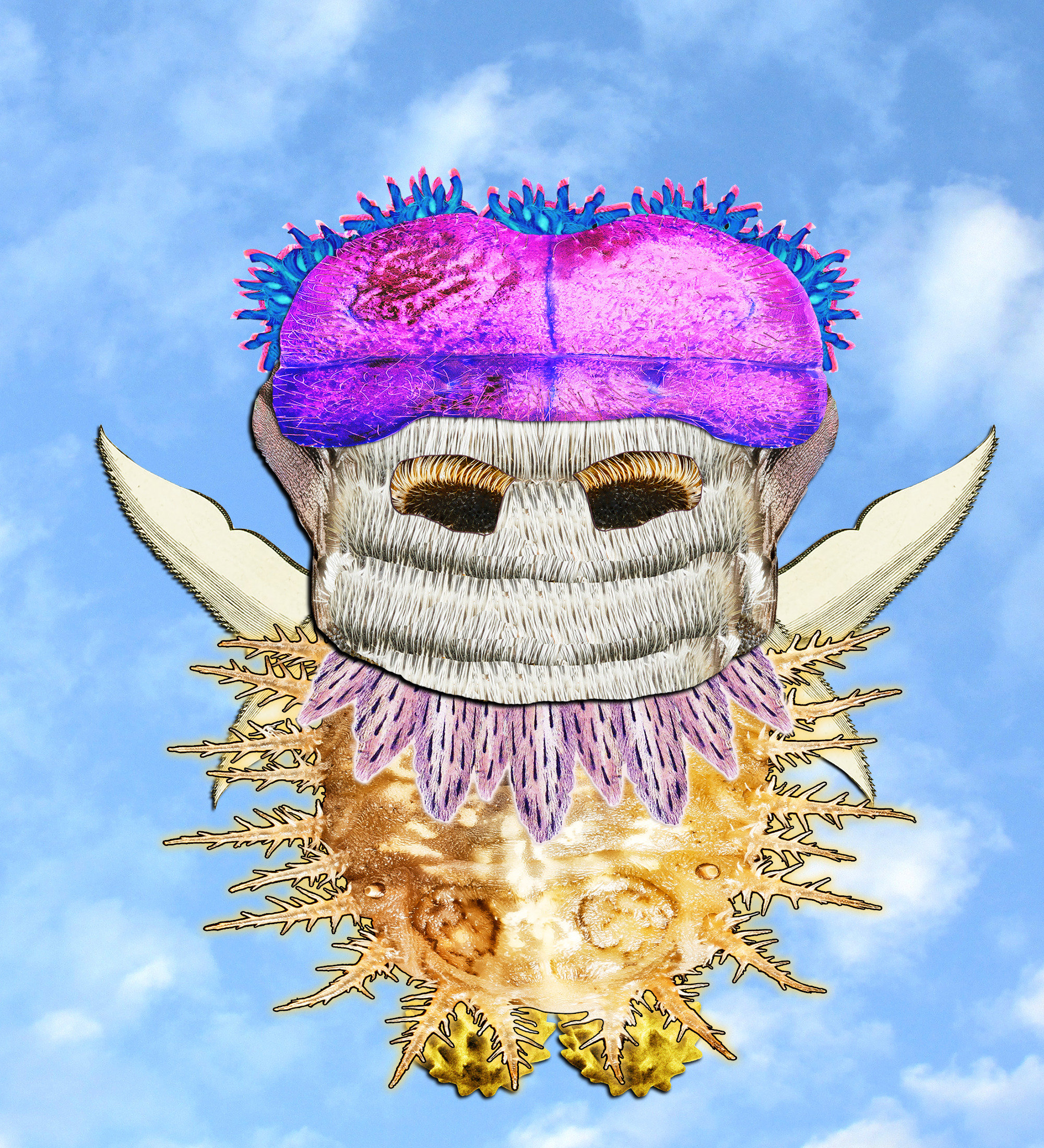 Hopium Warriors #160 NFT on Algorand