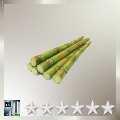 Sugarcane Q6 (#2)