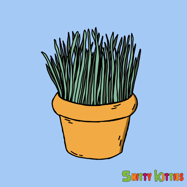 An image of Shitty Cat Grass