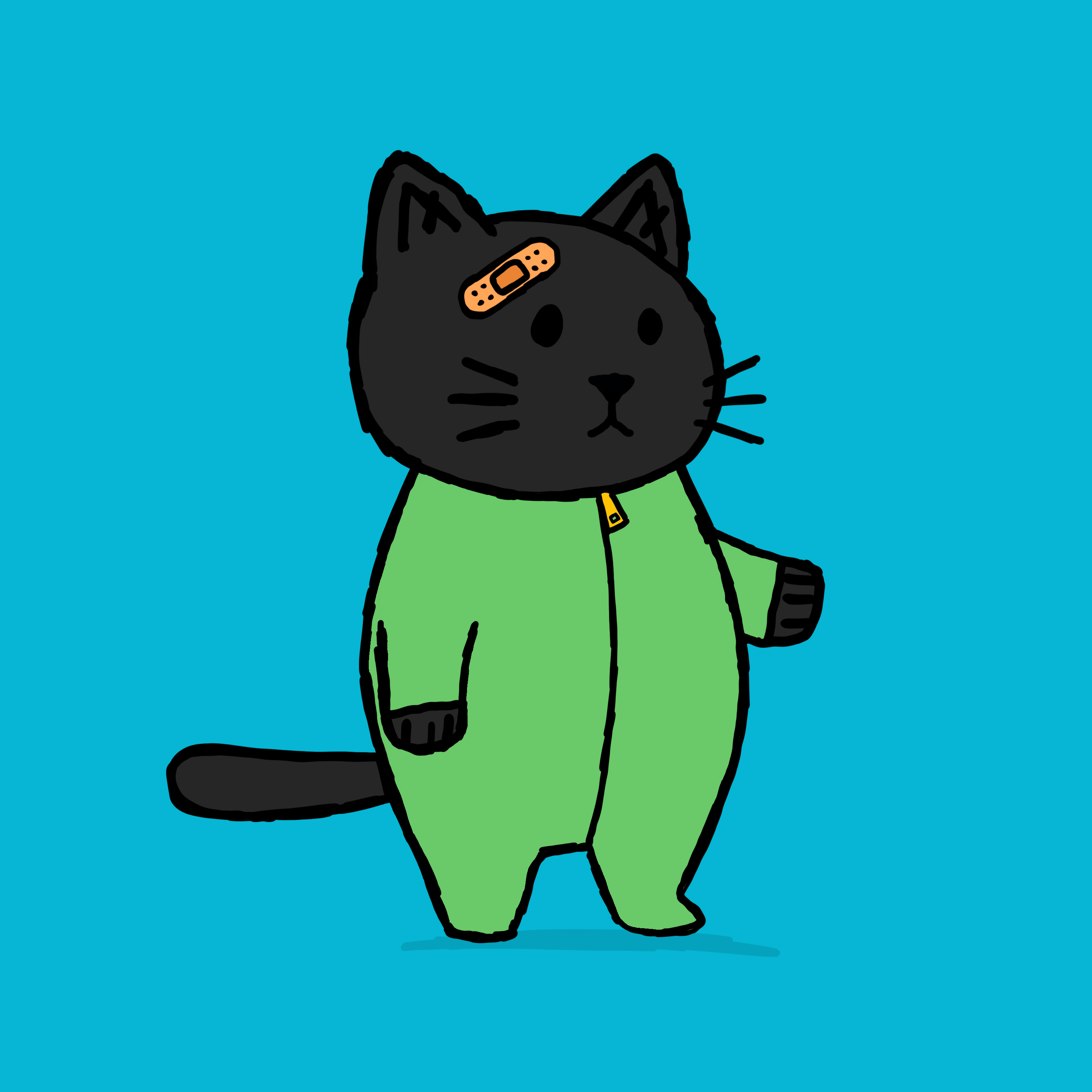 SK4L #764 NFT on Algorand