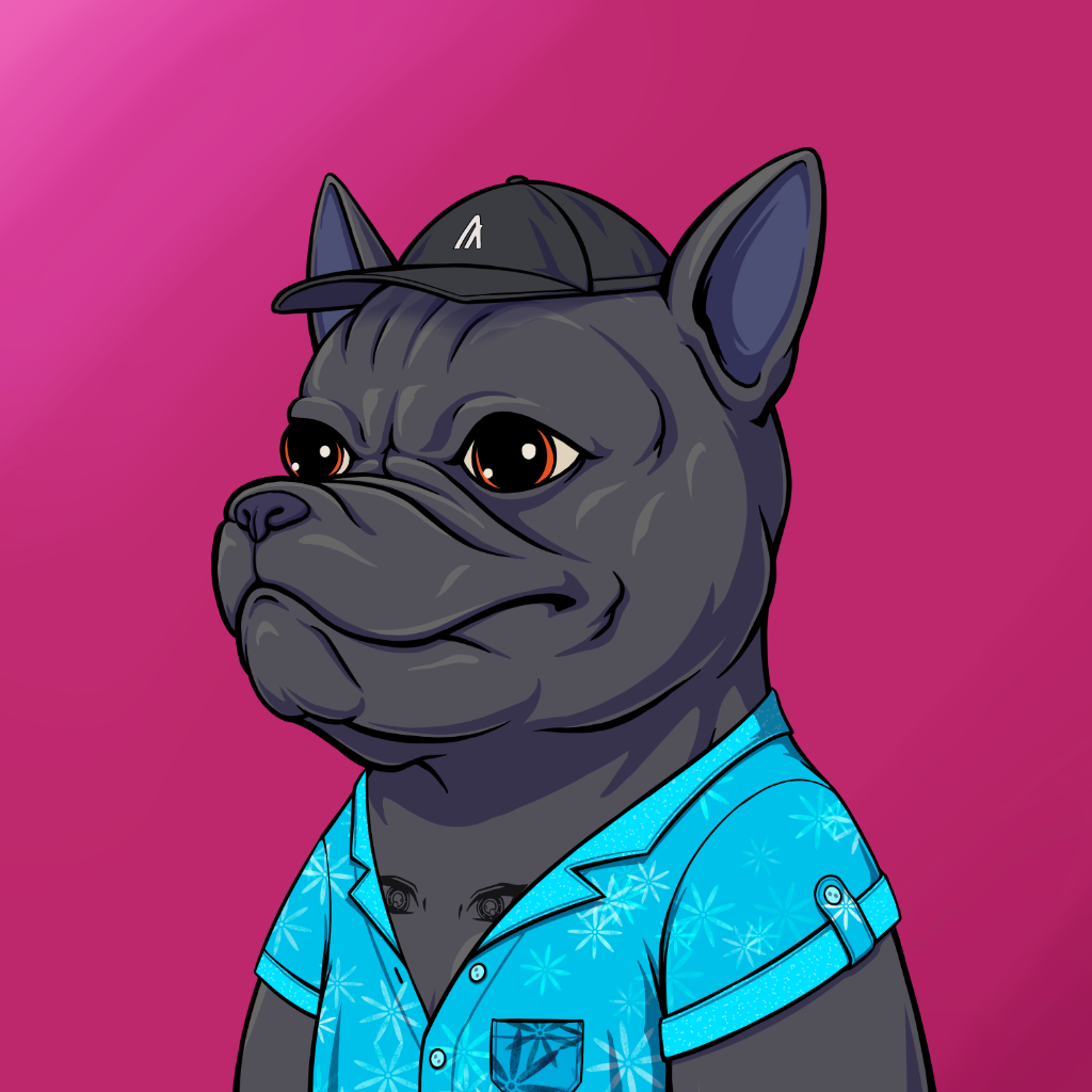 Bulldogs on Chain #1507 NFT on Algorand