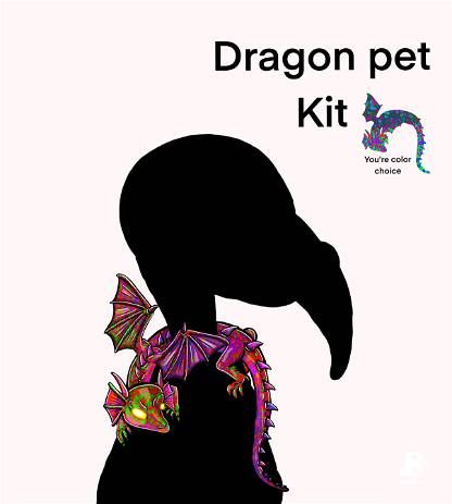 Dragon Pet Kit #4