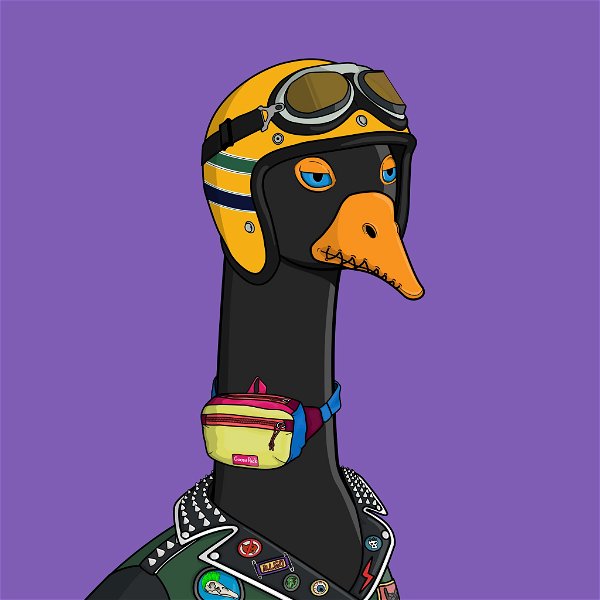 Crazy Goose Flock's avatar