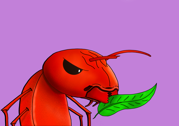 Algo Ants's avatar