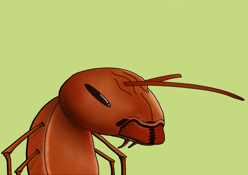 Algo Ant 574 NFT on Algorand