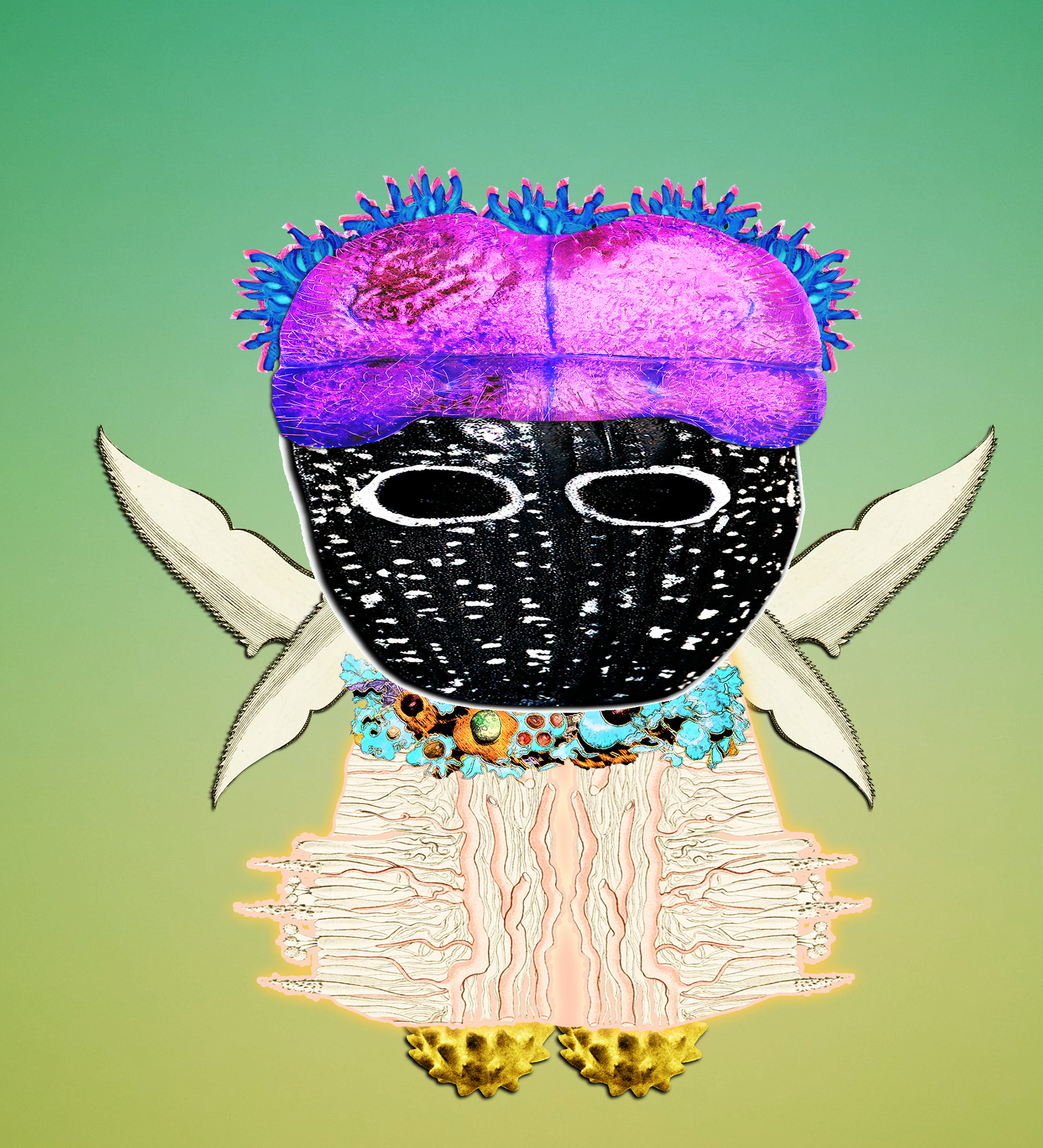 Hopium Warriors #277 NFT on Algorand