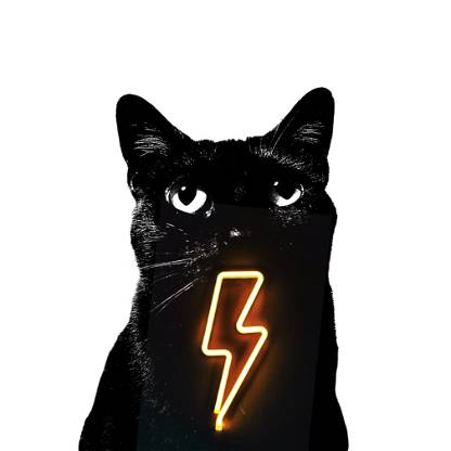 Lightning Cat