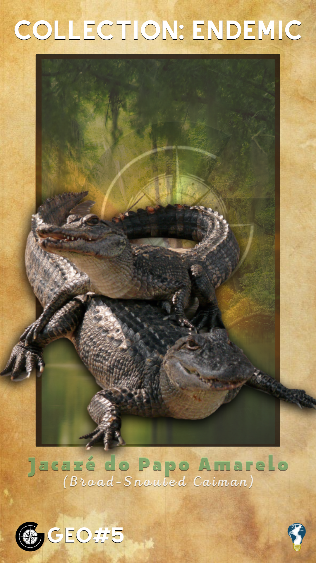GEO#5 Broad-Snouted Caiman NFT on Algorand