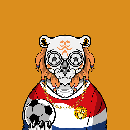 Football TigerChi #0240