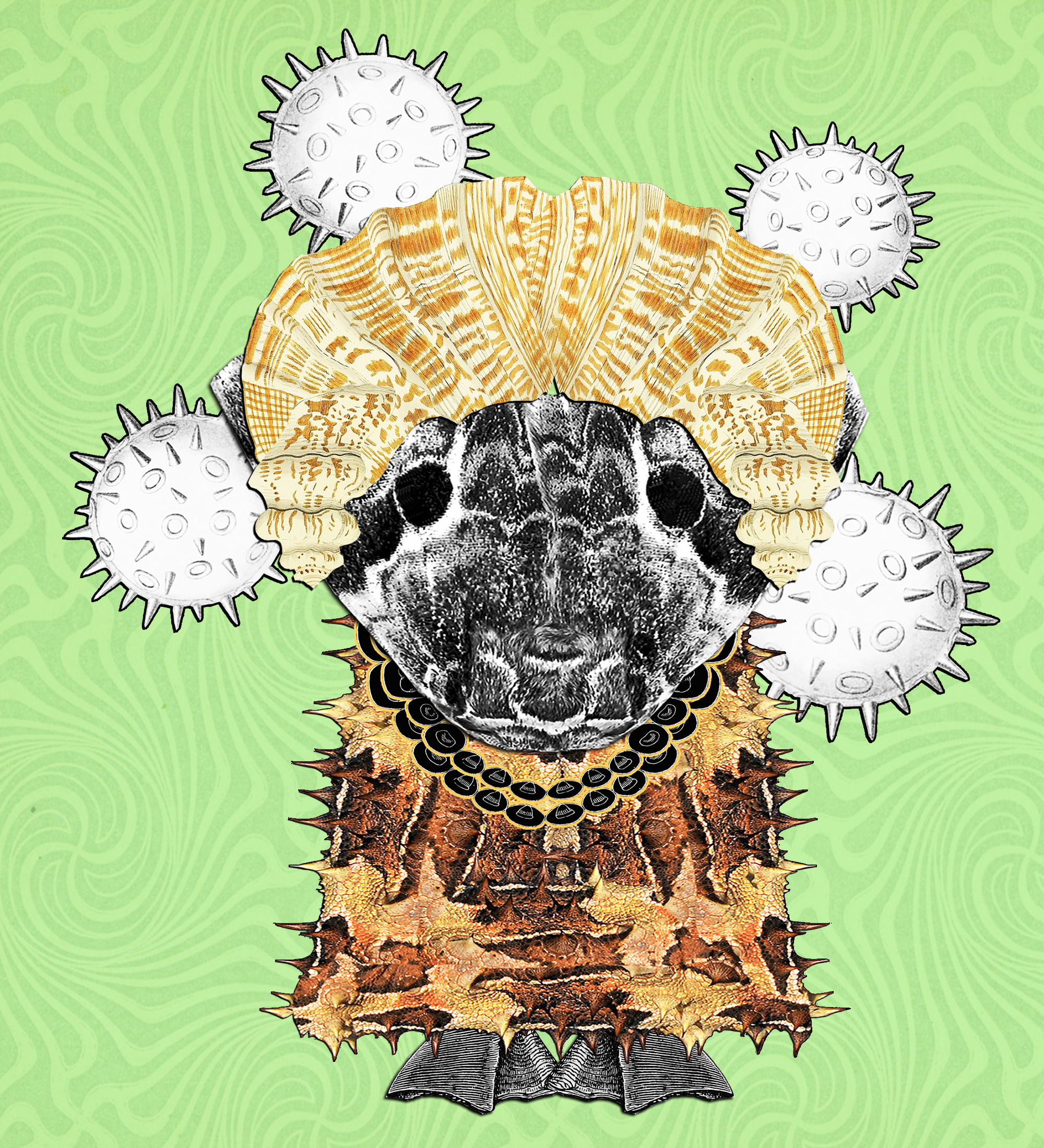 Hopium Warriors #044 NFT on Algorand