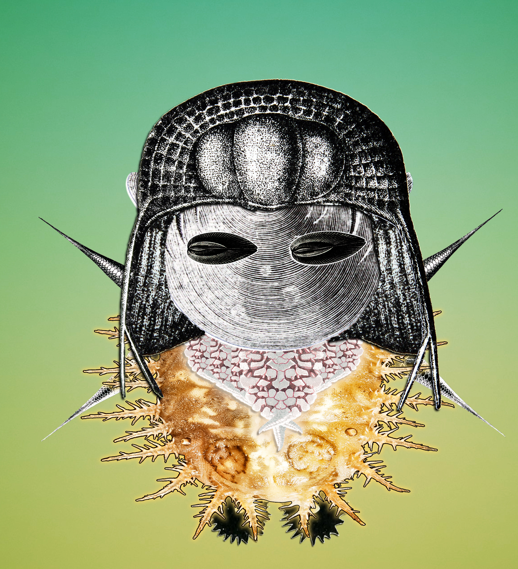 Hopium Warriors #120 NFT on Algorand