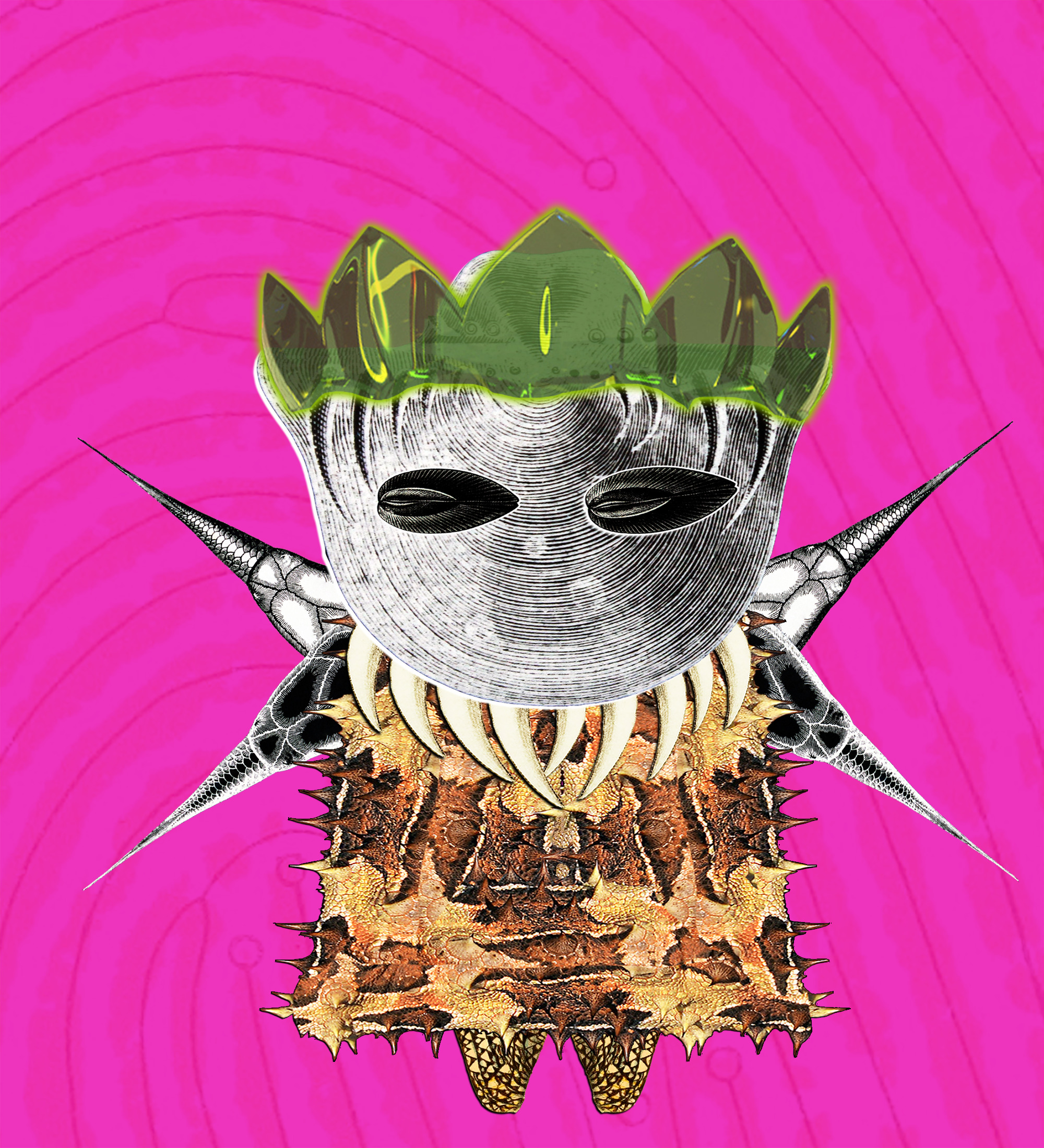 Hopium Warriors #153 NFT on Algorand