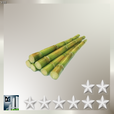 Sugarcane Q8 (#8)