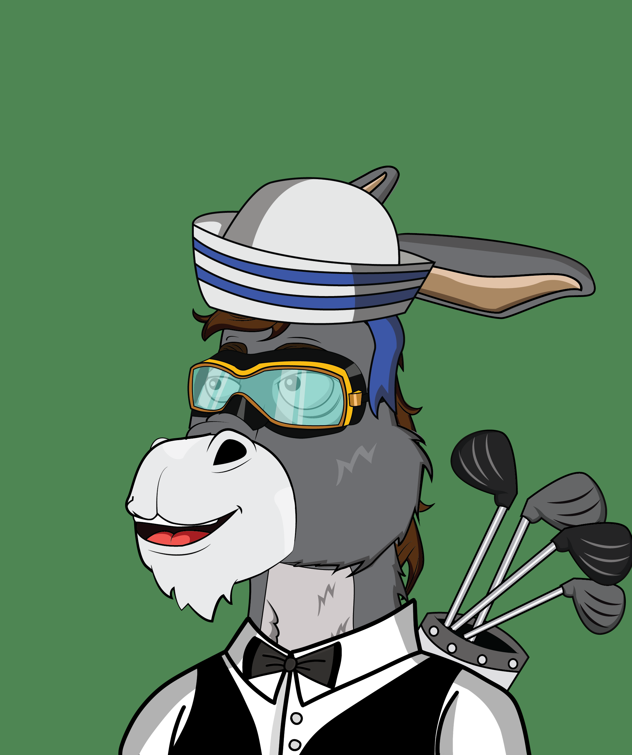 Donkey 1303 NFT on Algorand