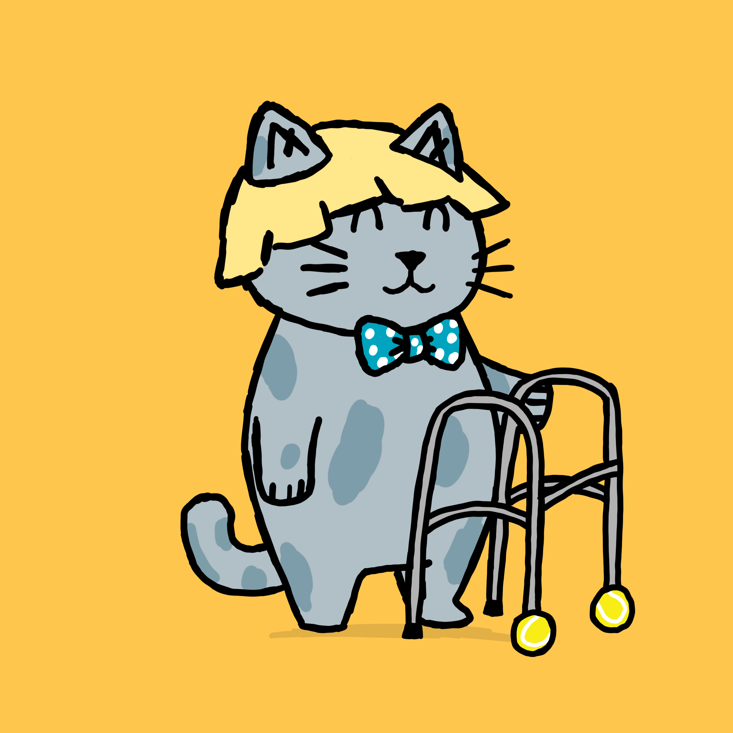 SK4L #2314 NFT on Algorand