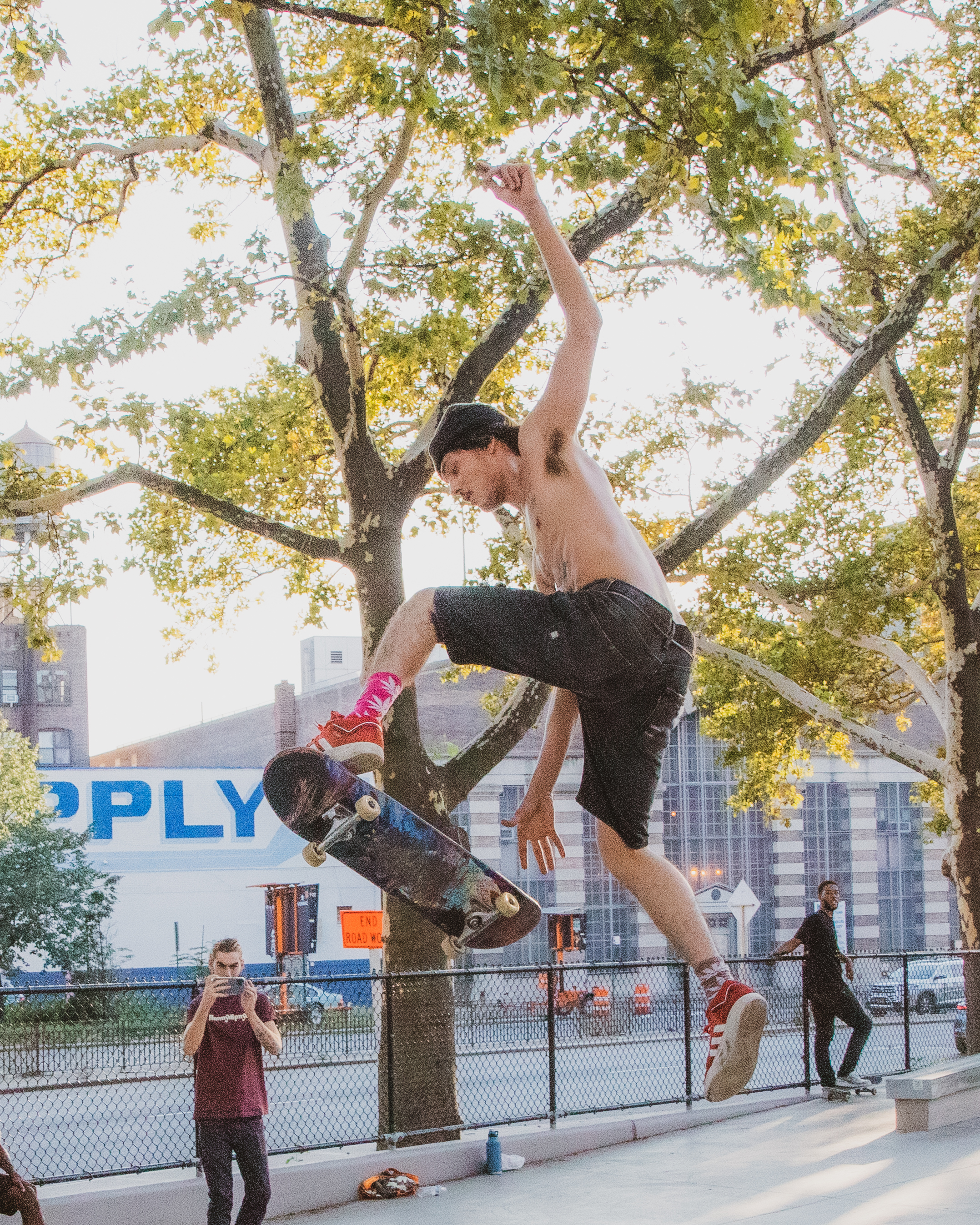 Skate Life NFT on Algorand