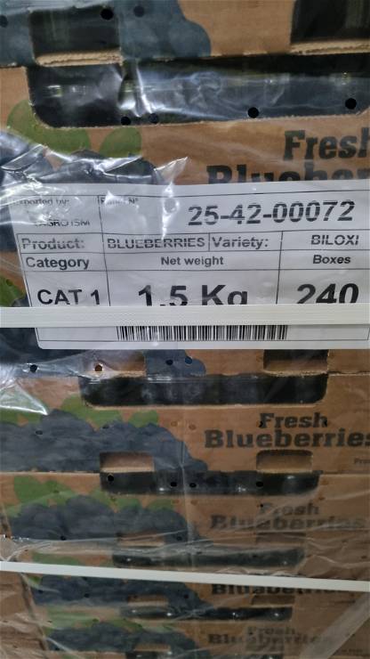 Blueberries 25-42-00072
