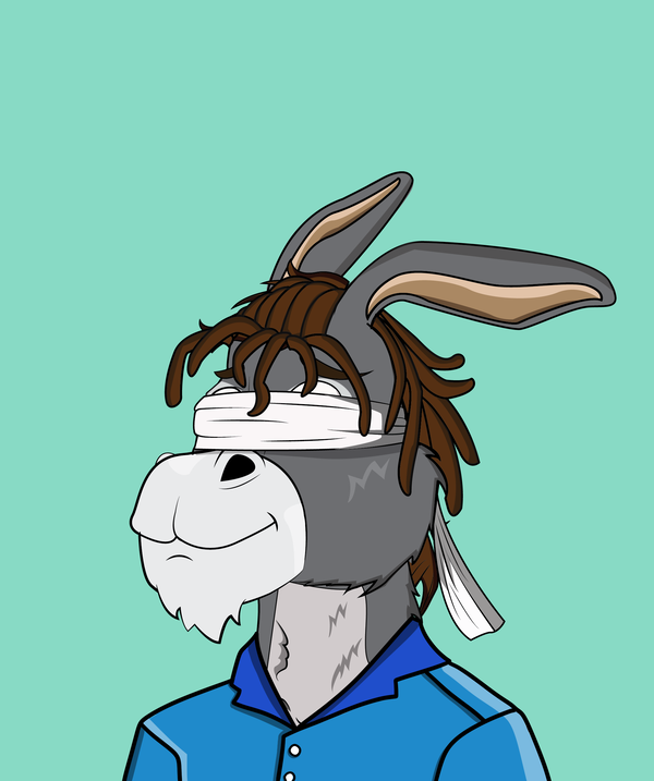 An image of Donkey 33