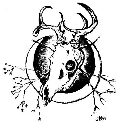 Black Deer Skull