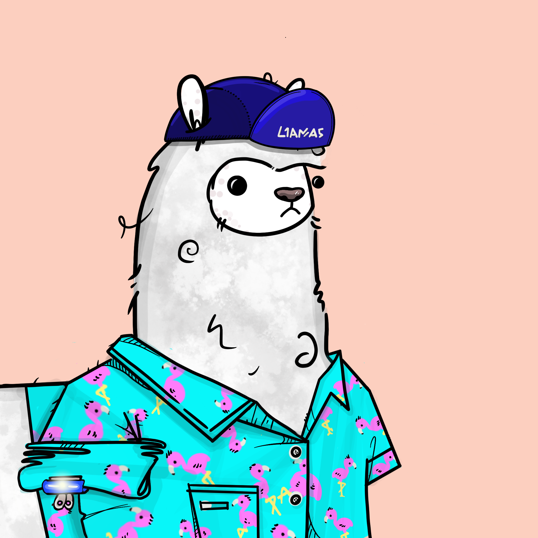 Nota Llama #983 NFT on Algorand