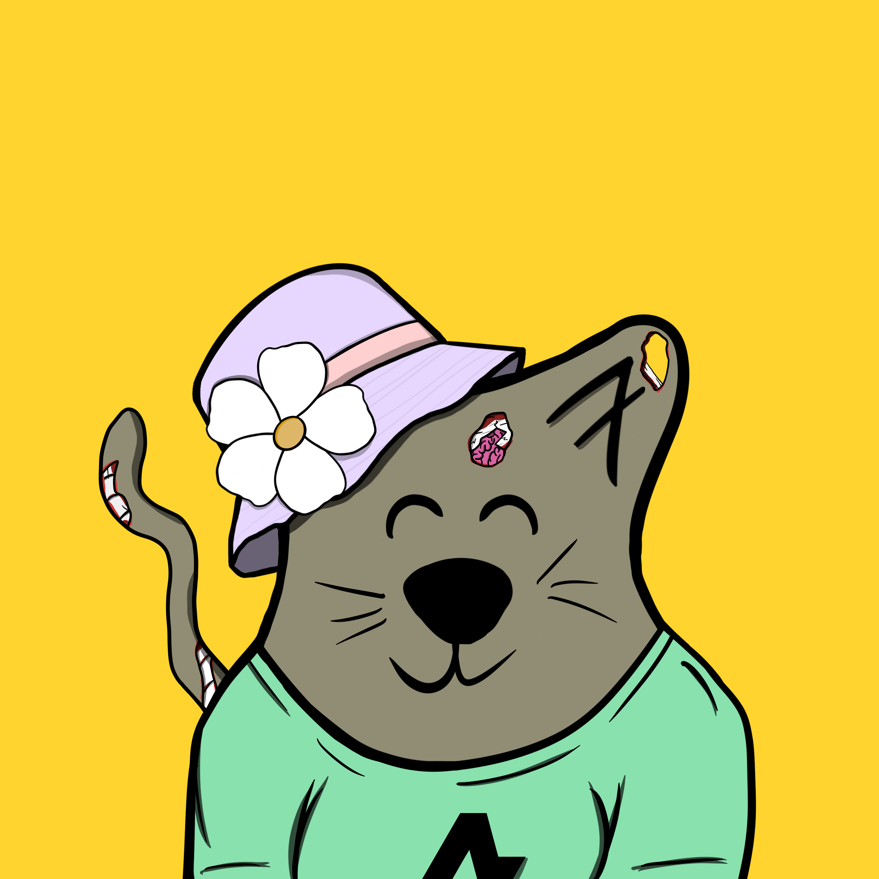 SKSL #26 NFT on Algorand