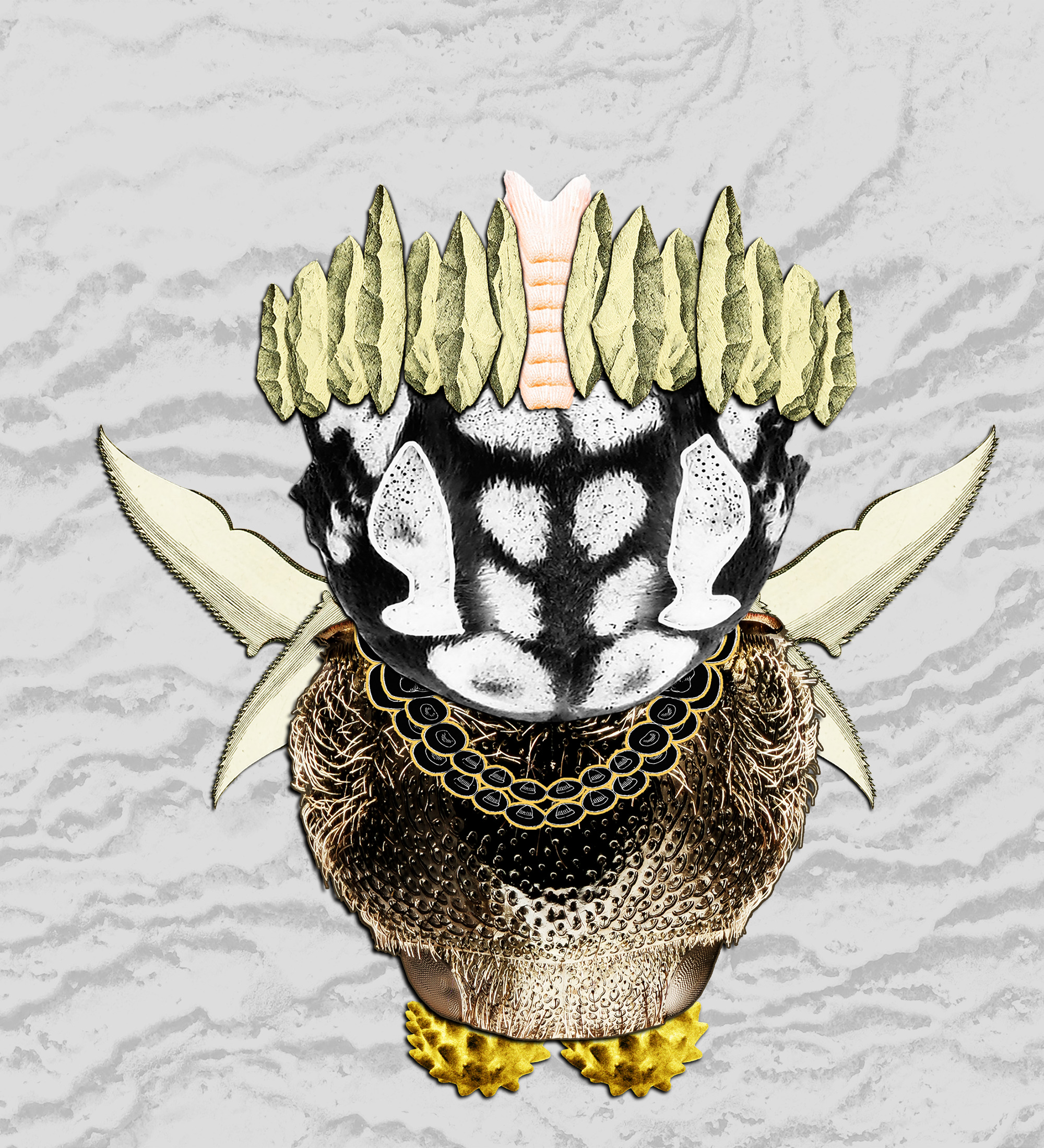 Hopium Warriors #236 NFT on Algorand
