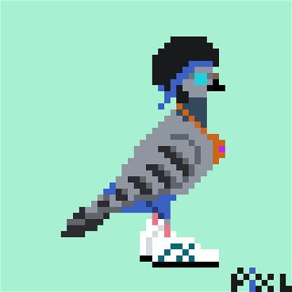Afro Punk Pigeon