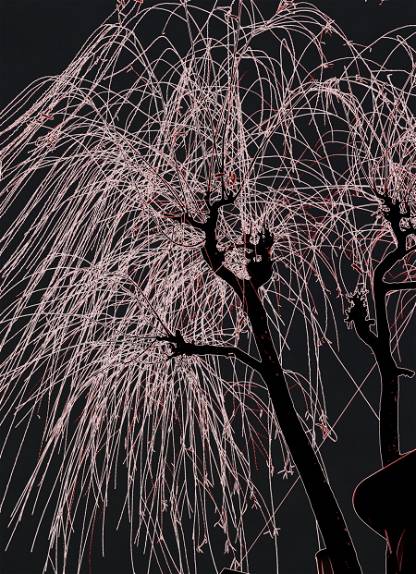 Tree Firework
