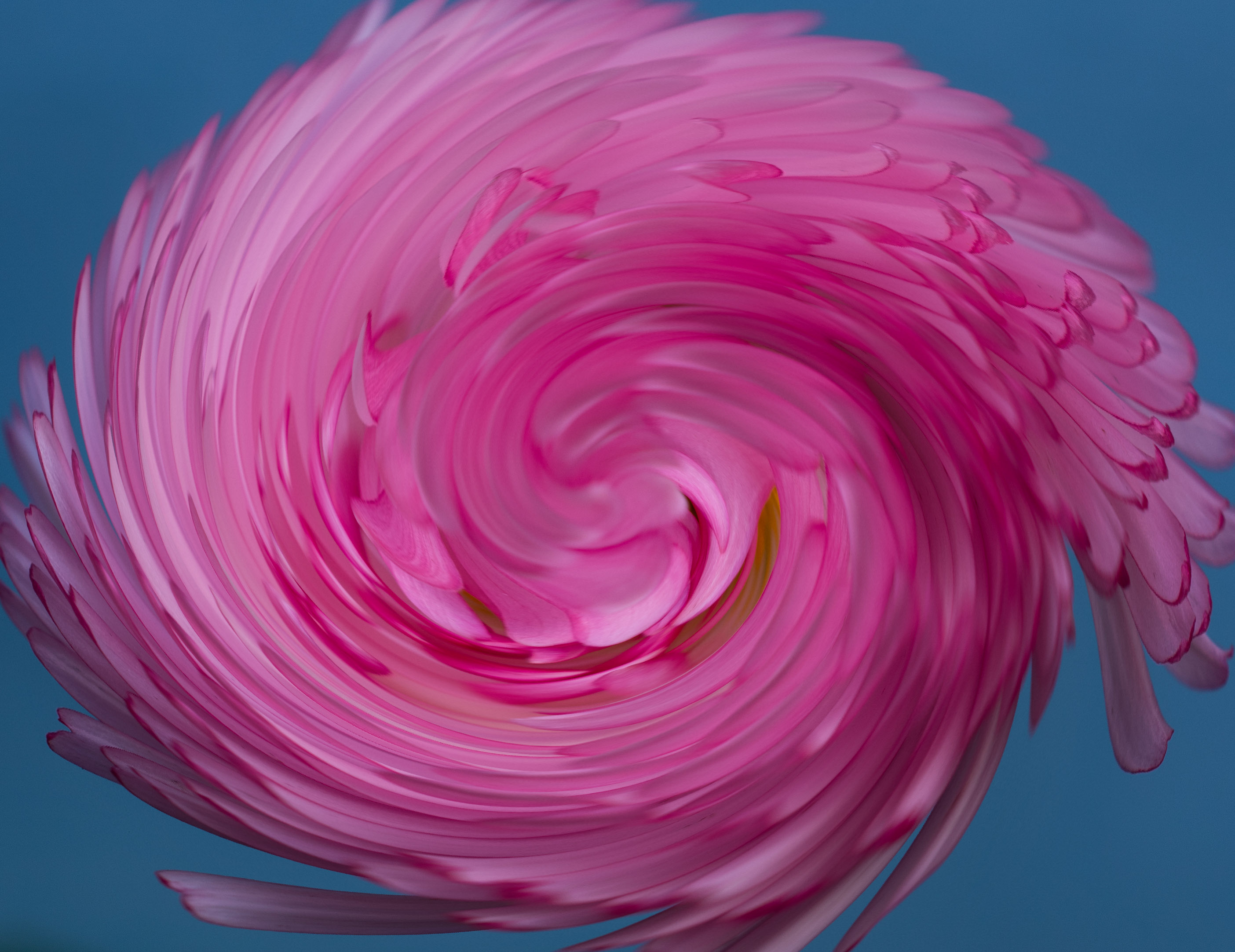 Pink pixels #2 NFT on Algorand