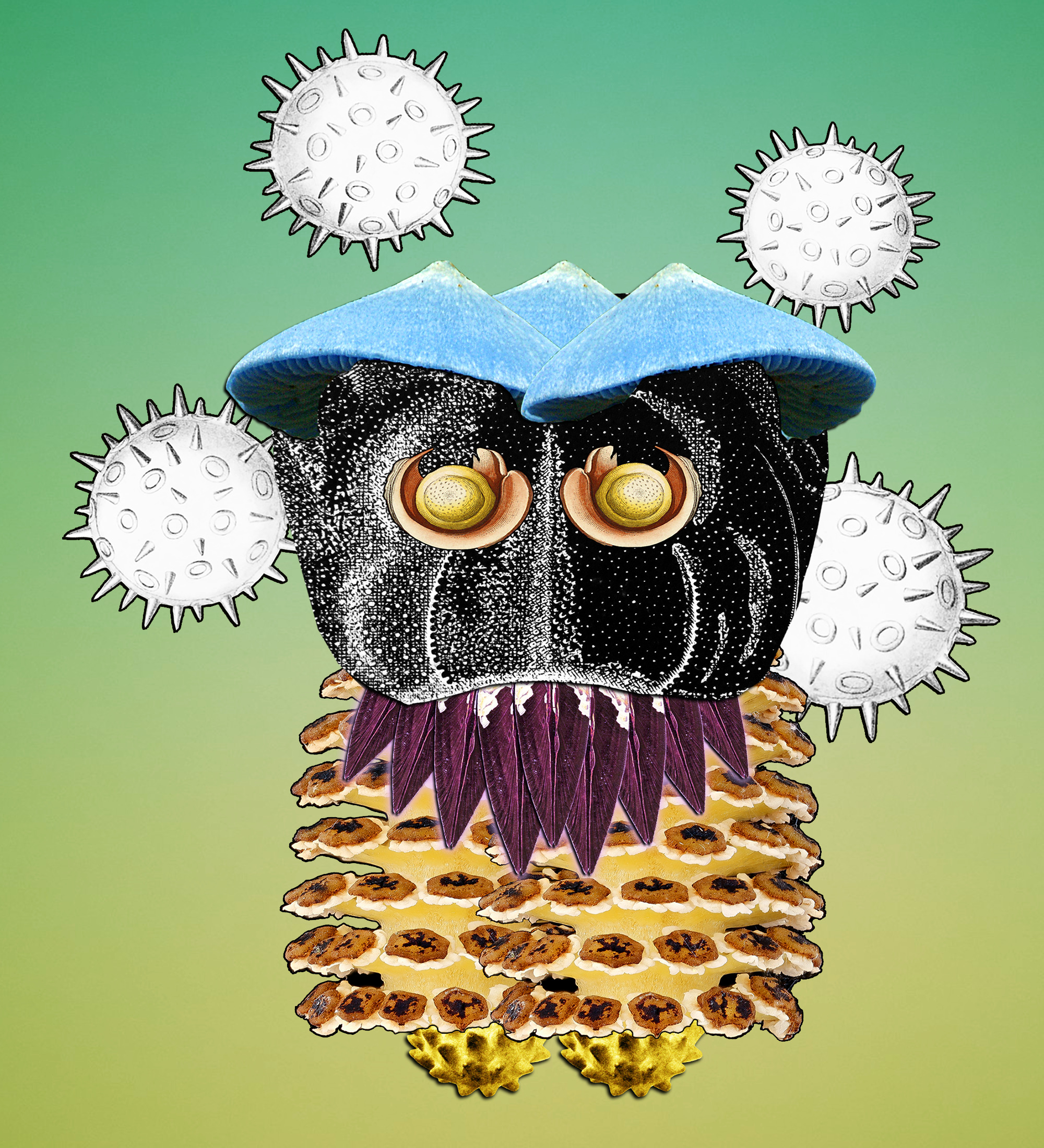 Hopium Warriors #146 NFT on Algorand