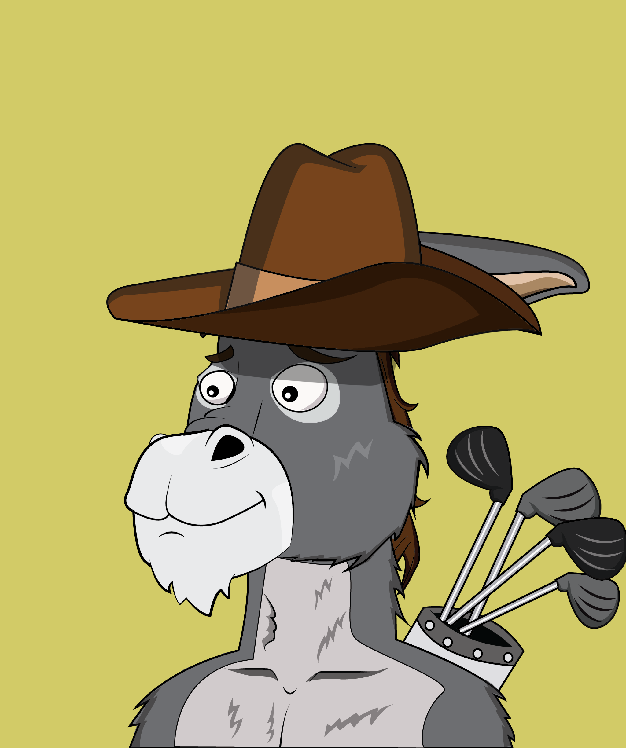 Donkey 311 NFT on Algorand