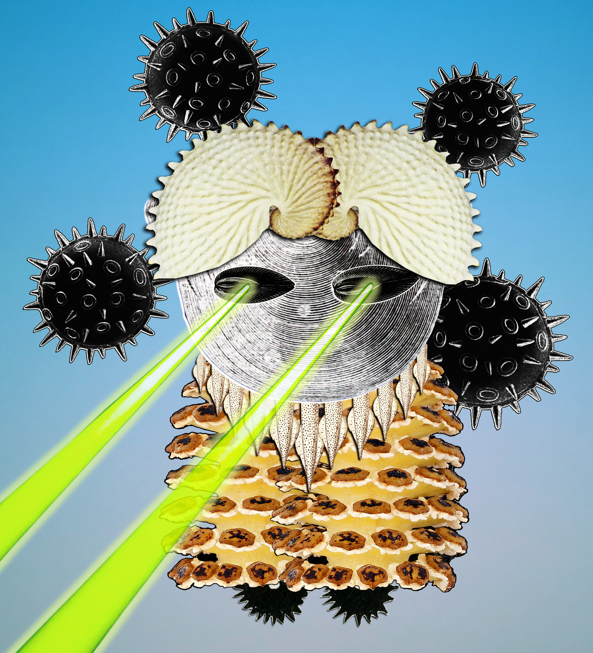 Hopium Warriors #056 NFT on Algorand