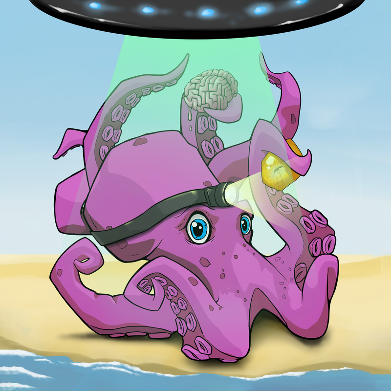 Tako 1004 NFT on Algorand