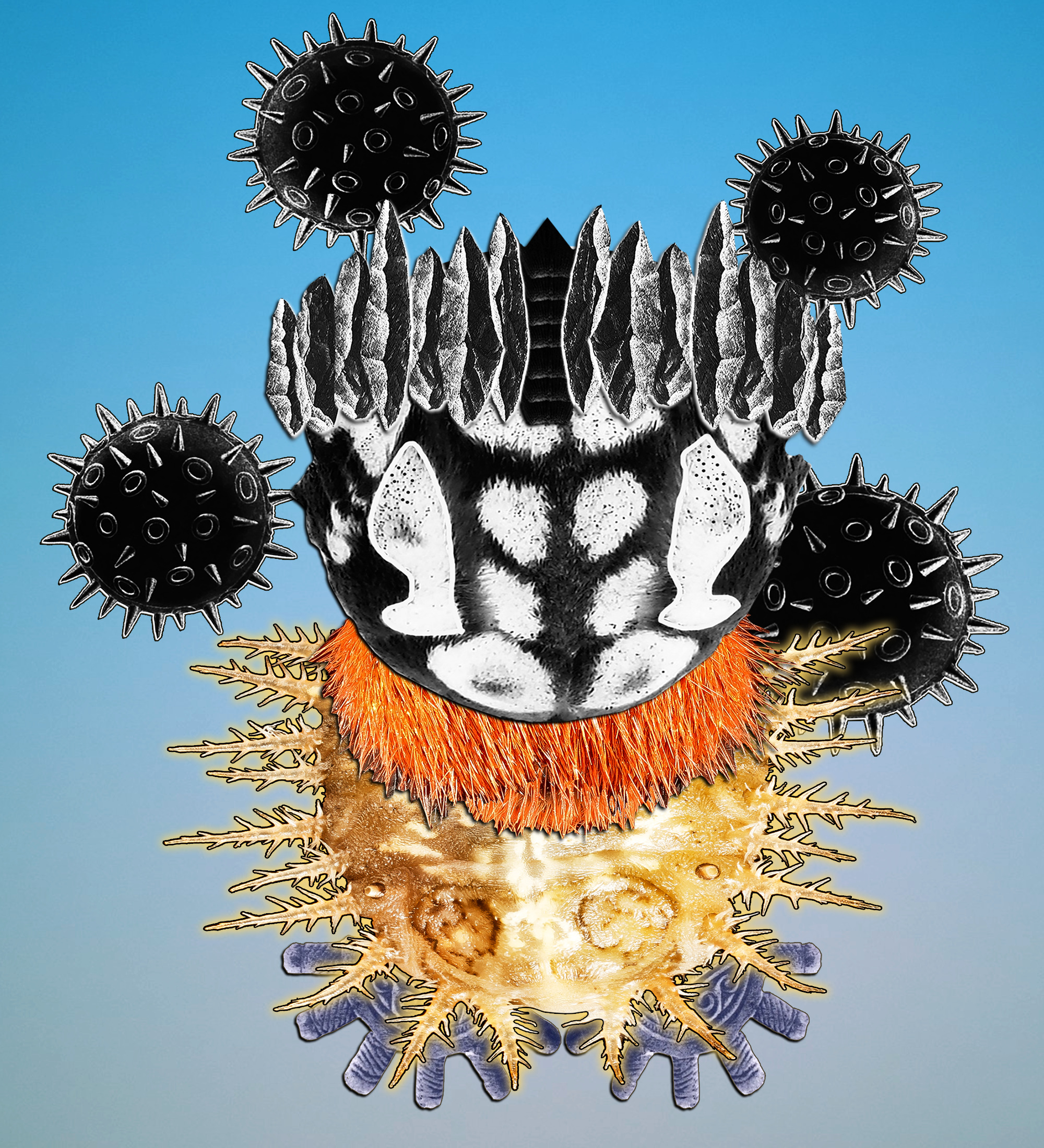 Hopium Warriors #212 NFT on Algorand