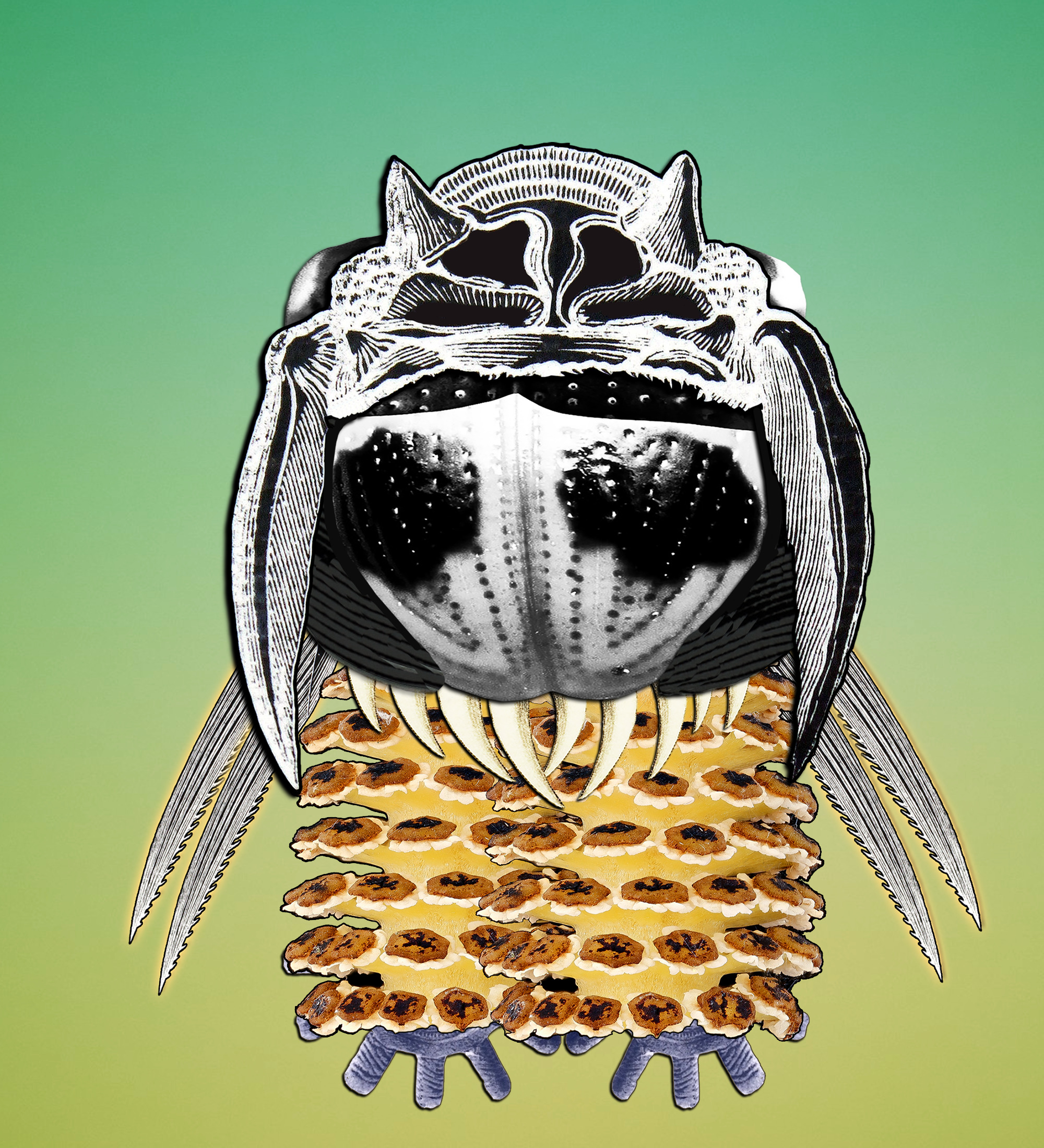 Hopium Warriors #390 NFT on Algorand