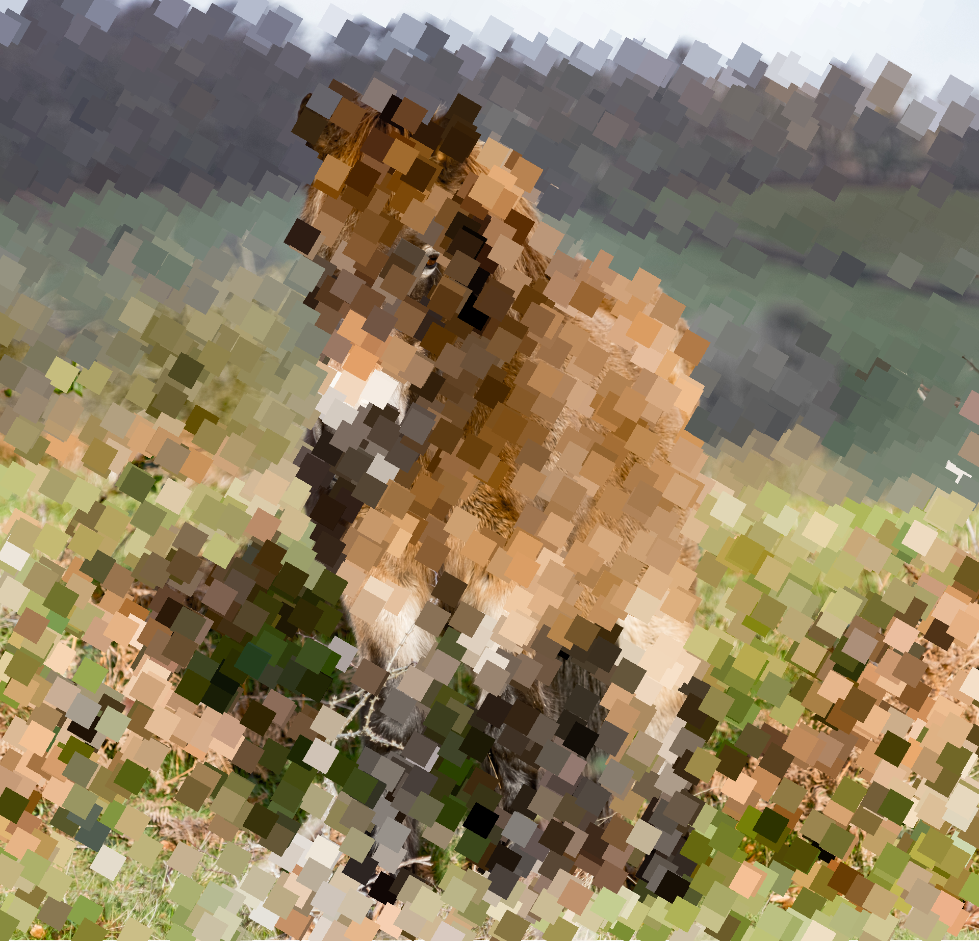 #Pixel horse  NFT on Algorand