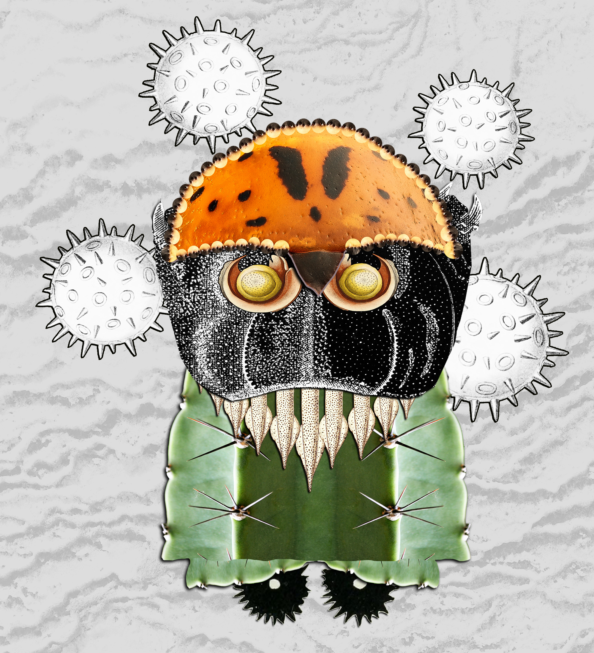 Hopium Warriors #162 NFT on Algorand