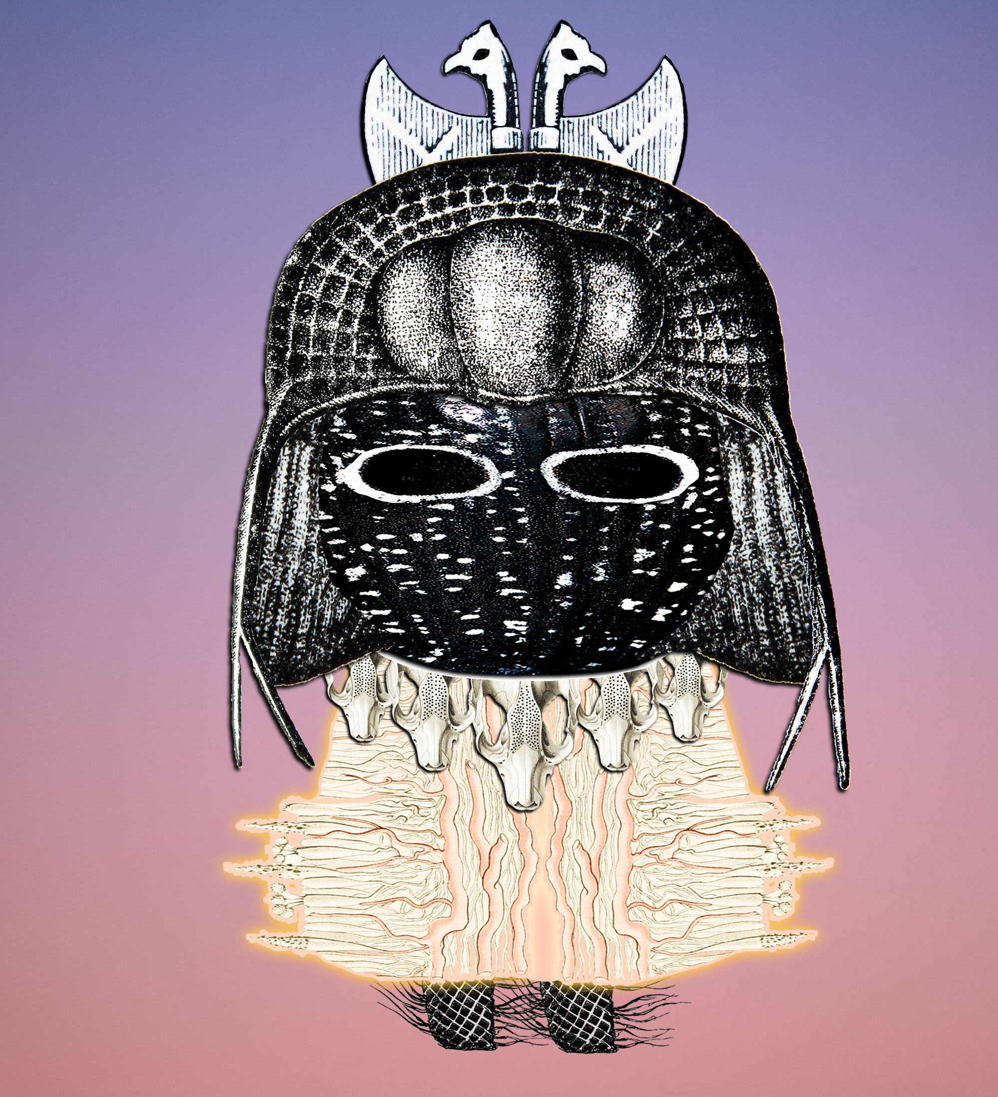 Hopium Warriors #164 NFT on Algorand