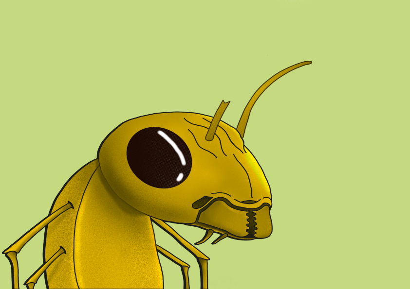 Algo Ant 357 NFT on Algorand