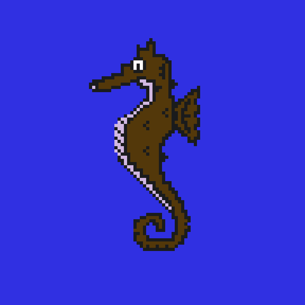 An image of Algo Seahorse #14