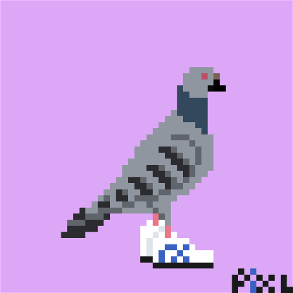 Street Pigeon PixL