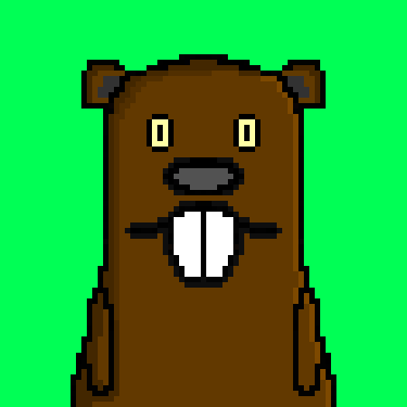 Beaver#1