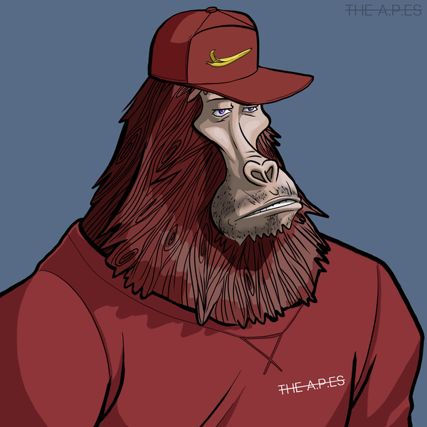 The APEs (ALGO Primate Elites)'s avatar