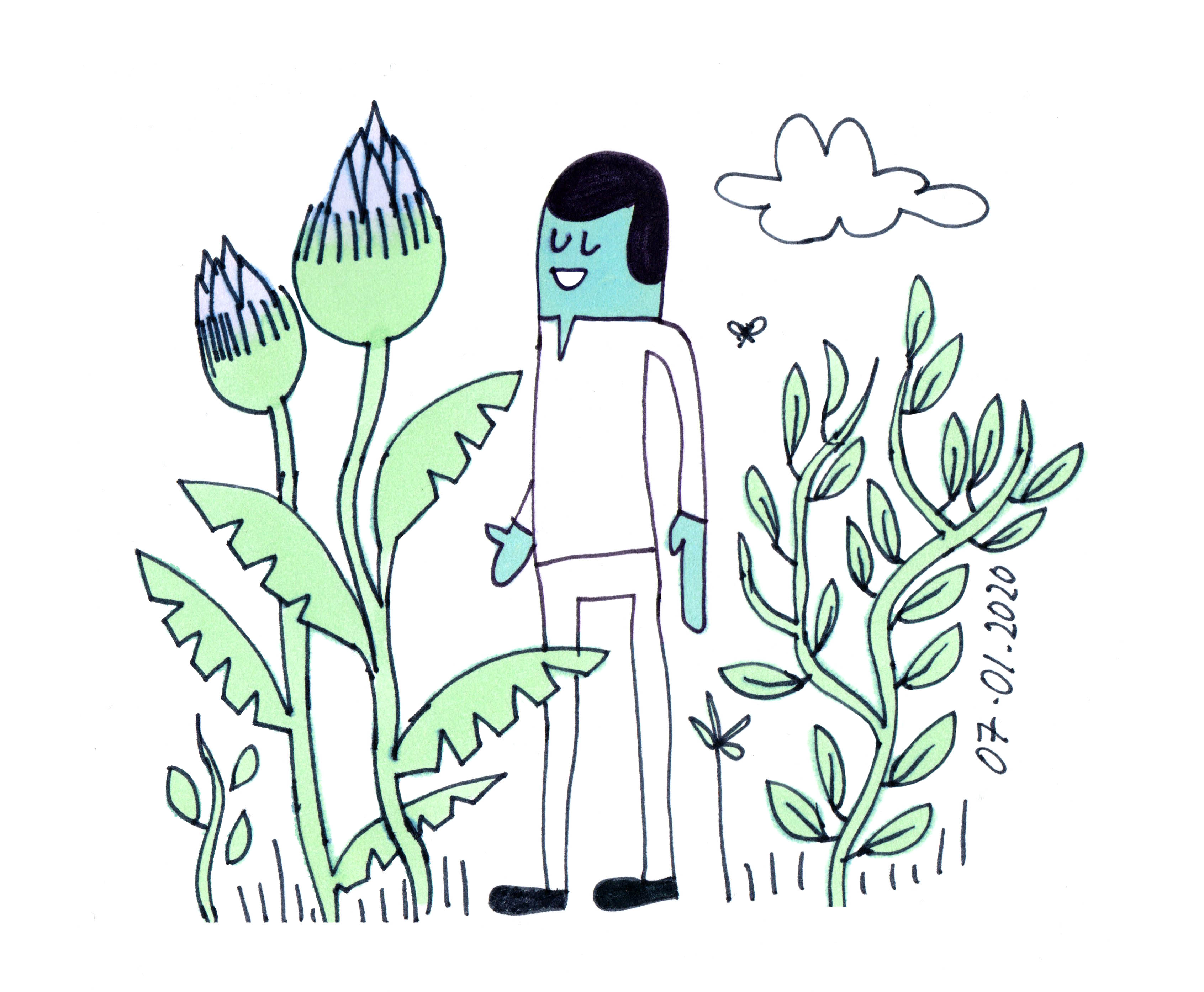In my garden NFT on Algorand