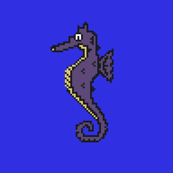 Image of Algo Seahorse #15